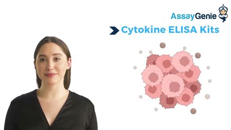 elisa kit youtube|elisa kit for cytokine.